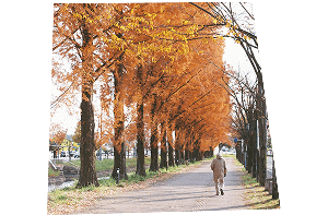 ATARIMAE HAPPY SAGA-SHI