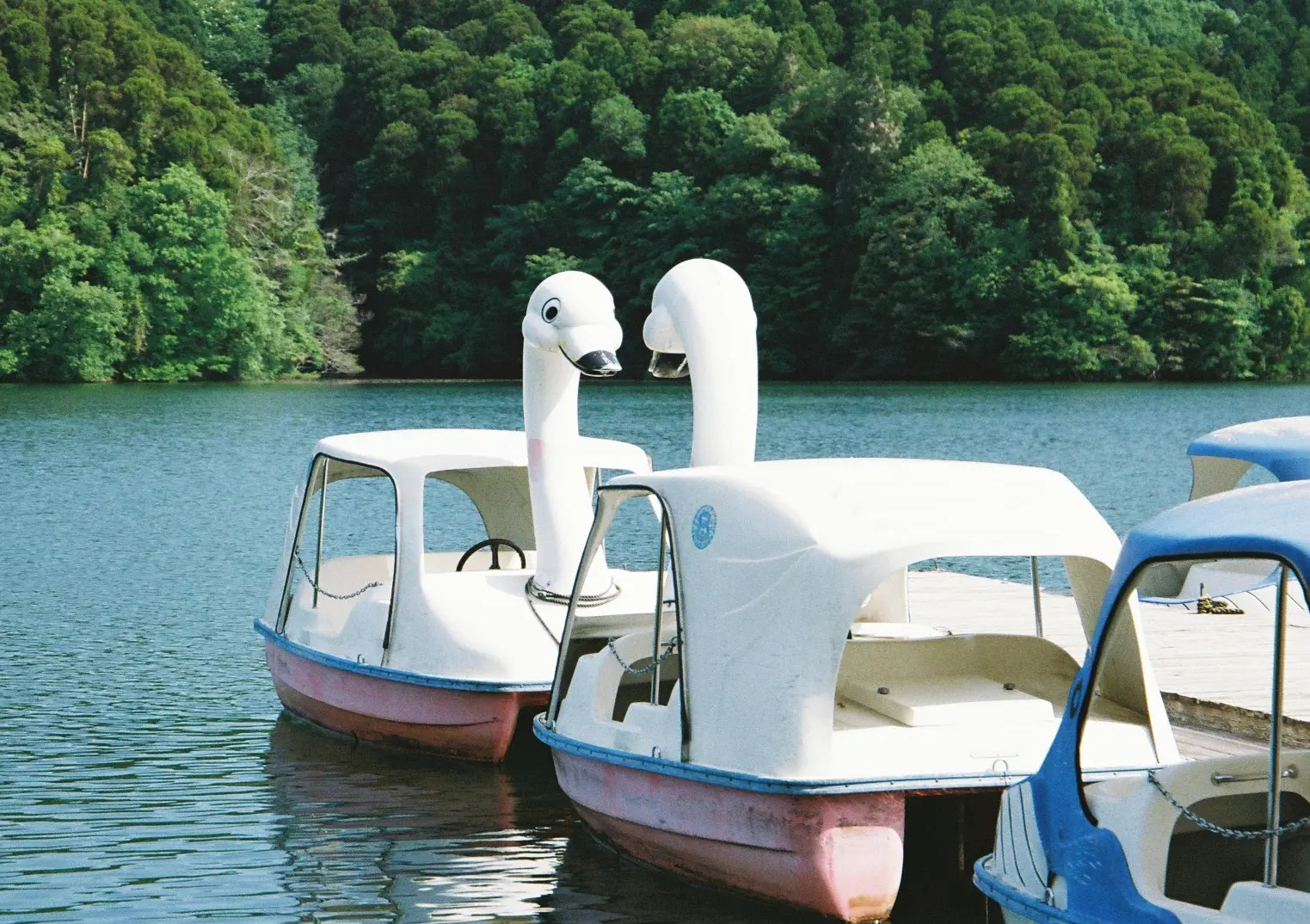 北山湖には、ダムを楽しみ尽くせる素直な遊びにあふれてる。｜佐賀市の