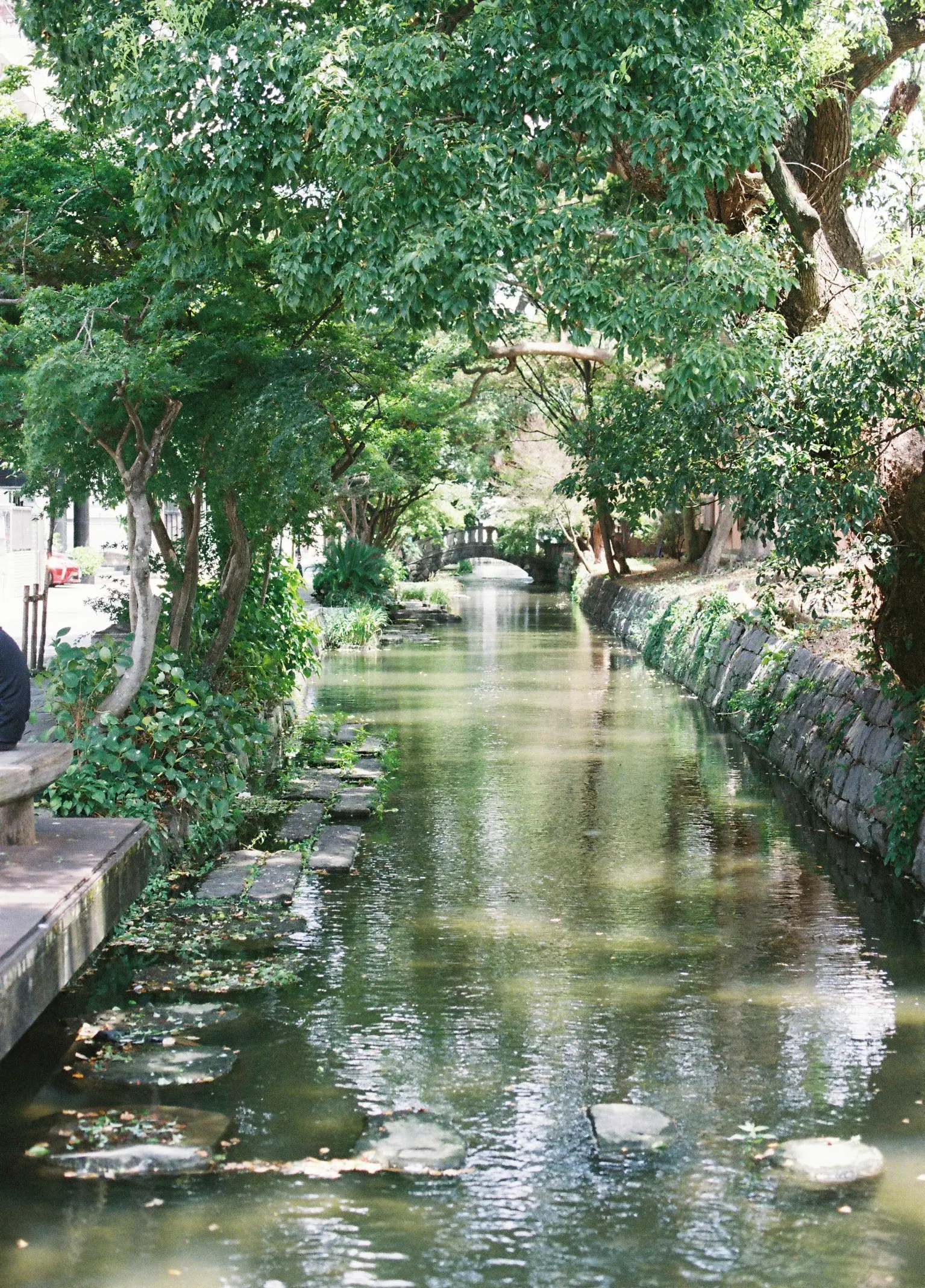 佐賀市は水都でもある。先人の知恵が今も平野を潤してくれる。｜佐賀市